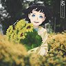 boydcvn