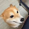 饅頭寶